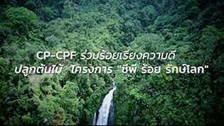 เรื่องดีดี CPF EP.137 ตอน CP-CPF ร้อยเรียงความดี ร่วมปลูกต้นไม้