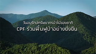 เรื่องดีดี CPF EP.157 ตอน CPF ร่วมฟื้นฟูป่าอย่างยั่งยืน : วันอนุรักษ์ทรัพยากรป่าไม้ของชาติ