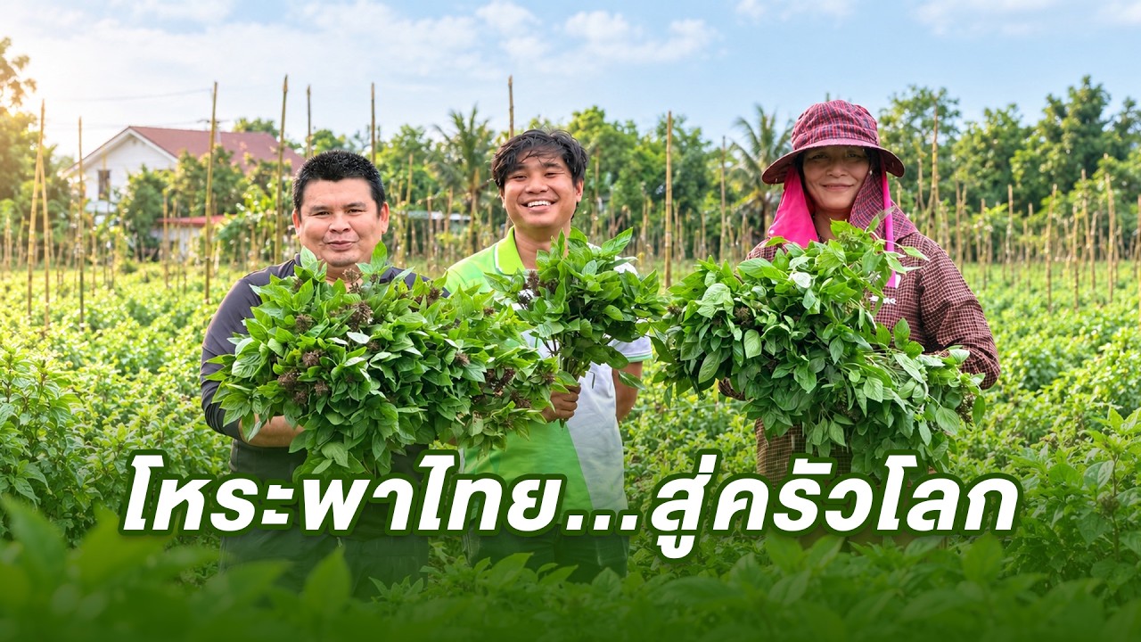 เรื่องดีดี CPF EP.392 ตอน โหระพาไทย…สู่ครัวโลก