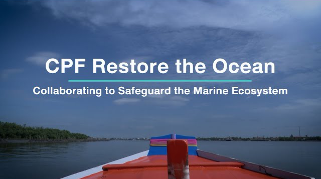 เรื่องดีดี CPF EP.233 ตอน “CPF Restore the Ocean” ร่วมพิทักษ์ทะเลโลก (ENG)