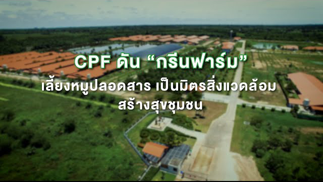 เรื่องดีดี CPF EP.220 ตอน CPF Green Farm เลี้ยงหมูปลอดสารเป็นมิตรสิ่งแวดล้อม สร้างสุขชุมชน