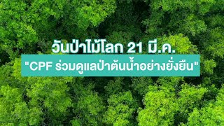 เรื่องดีดี CPF EP.184 ตอน วันป่าไม้โลก 21 มี.ค. "CPF ร่วมดูแลป่าต้นน้ำอย่างยั่งยืน"