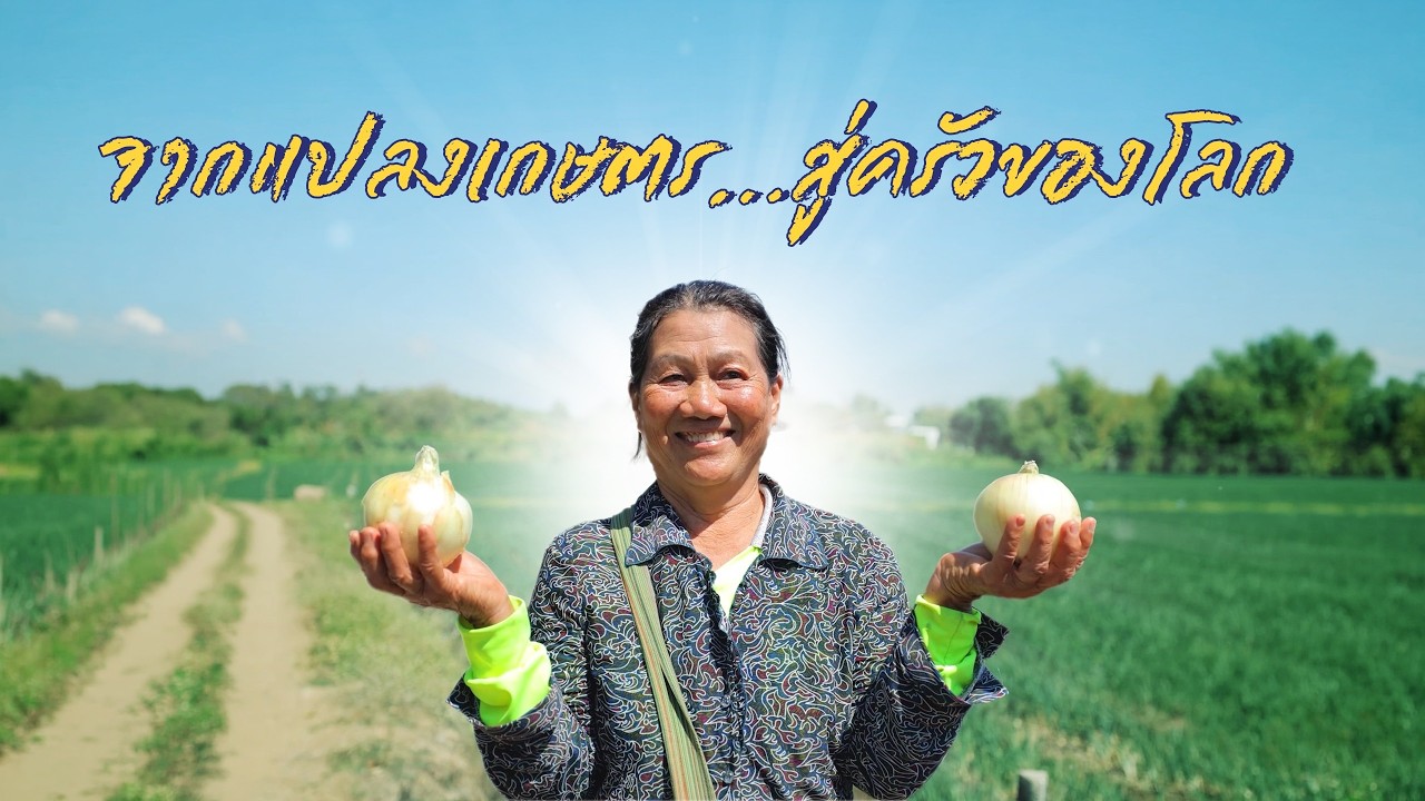 เรื่องดีดี CPF EP.374 ตอน จากแปลงเกษตร...สู่ครัวของโลก