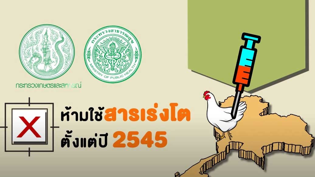 CPF ครัวโลกที่ยั่งยืน ตอน ไก่ไทยปลอดภัย ไร้สารฮอร์โมน