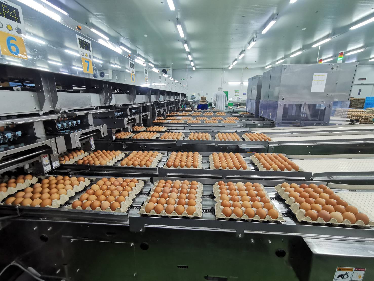 "ฟาร์มคอมเพล็กซ์ไก่ไข่จักราช" รับโล่ประกาศเกียรติคุณ  Best BCG Economy Model  