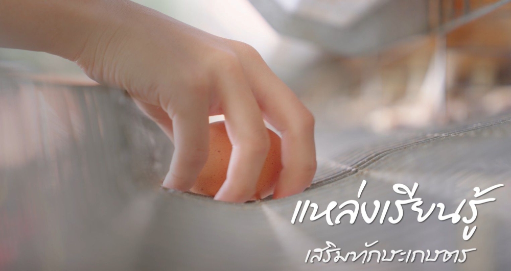 Ban Muang Song Tho School's Egg Project Creates Sustainable Food Source for Community Ban Muang Song Tho School's Egg Project Creates Sustainable Food Source for Community