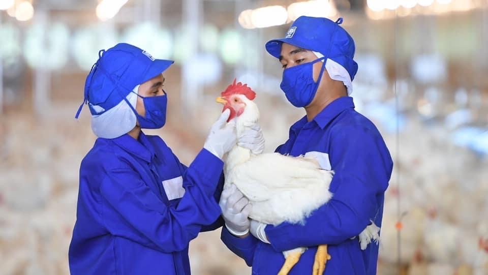 ซีพีเอฟ ยกระดับมาตรฐานการผลิตเนื้อไก่-ไข่ไก่ เน้นย้ำความปลอดภัย ปลอดสาร ปลอดเชื้อ เพื่อผู้บริโภค