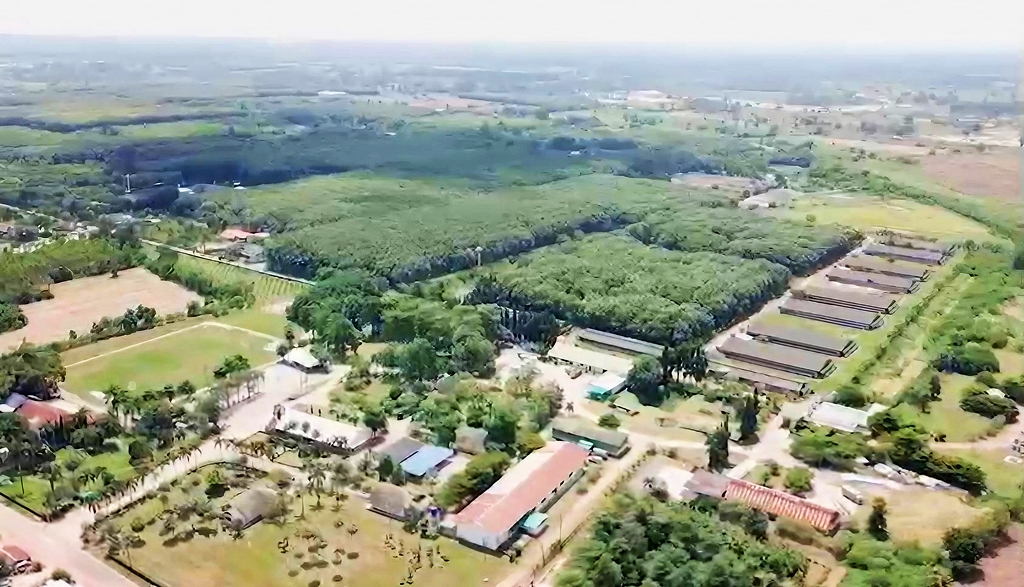 CP Foods Transforms Nong Wa Village into Agricultural Powerhouse, Enhancing Local Well-being