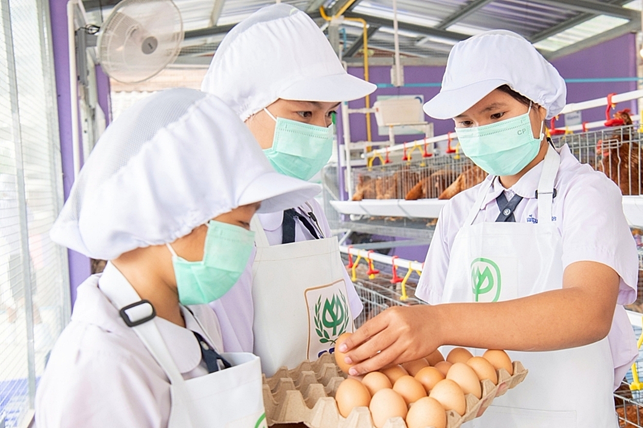 CPF ขยาย “โครงการเลี้ยงไก่ไข่เพื่ออาหารกลางวันนักเรียน” สู่ 1,030 โรงเรียน เสริมความมั่นคงทางอาหารผ่านการเข้าถึงโภชนาการที่ดี