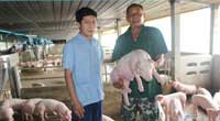 17 ปี กับความสำเร็จ พลิกชีวิตชาวไร่ มั่นคงได้กับอาชีพเลี้ยงหมูขุนกับซีพีเอฟ 17 ปี กับความสำเร็จ พลิกชีวิตชาวไร่ มั่นคงได้กับอาชีพเลี้ยงหมูขุนกับซีพีเอฟ