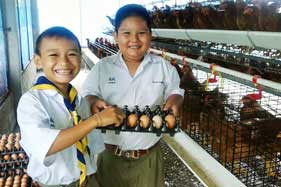 ความสำเร็จโครงการไก่ไข่เพื่ออาหารกลางวันนักเรียน สร้าง “ห้องเรียนชีวิต ความสำเร็จโครงการไก่ไข่เพื่ออาหารกลางวันนักเรียน สร้าง “ห้องเรียนชีวิต
