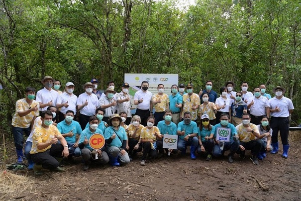 CP-CPF รวมพลังฟื้นฟูป่าชายเลน เพิ่มความหลากหลายทางชีวภาพ พร้อมส่งเสริมคุณภาพชีวิตชุมชน