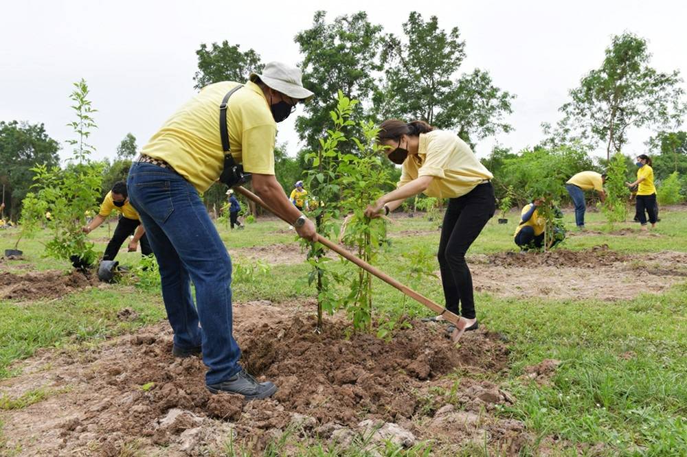 CP Foods’ community forest boost quality of life for surrounding locals CP Foods’ community forest boost quality of life for surrounding locals