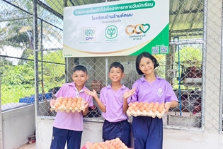 Egg Shaping Kids' Life Skills: A Fun and Educational Journey