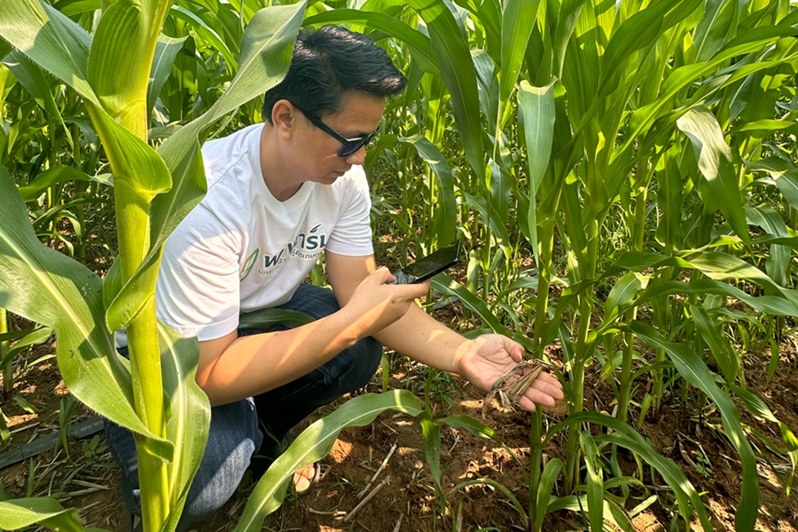 Bangkok Produce Merchandising Initiates Third-Party Assessment for Enhanced Integrity and Transparency in Corn Traceability System Bangkok Produce Merchandising Initiates Third-Party Assessment for Enhanced Integrity and Transparency in Corn Traceability System