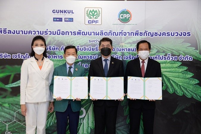 CPF ผนึกพลัง GUNKUL และ CPP พัฒนาอาหาร-เครื่องดื่มจากสารสกัดกัญชง รับเทรนด์สุขภาพ