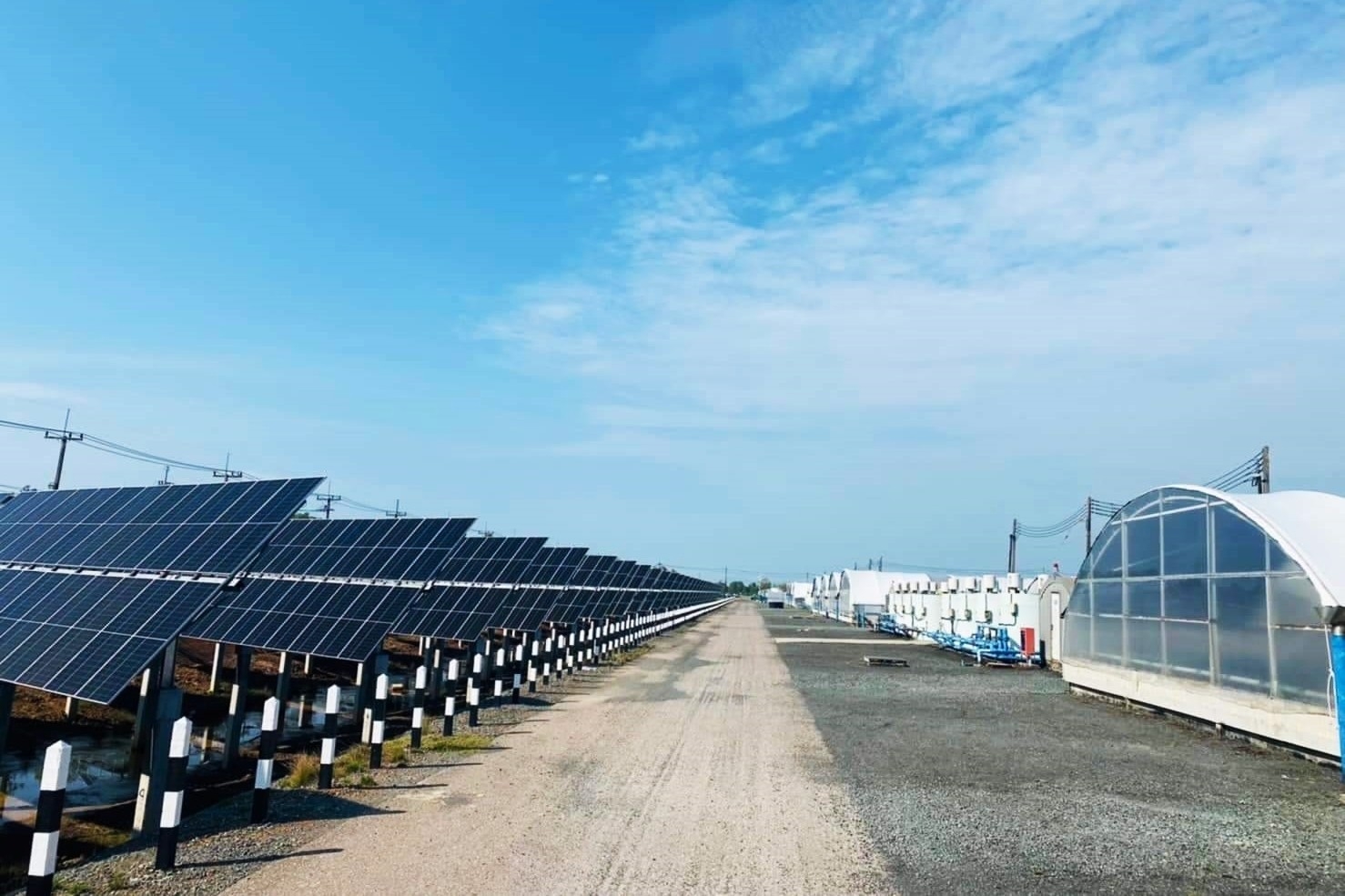 CP Foods Accelerates Shift to 100% Renewable Energy for Sustainability CP Foods Accelerates Shift to 100% Renewable Energy for Sustainability