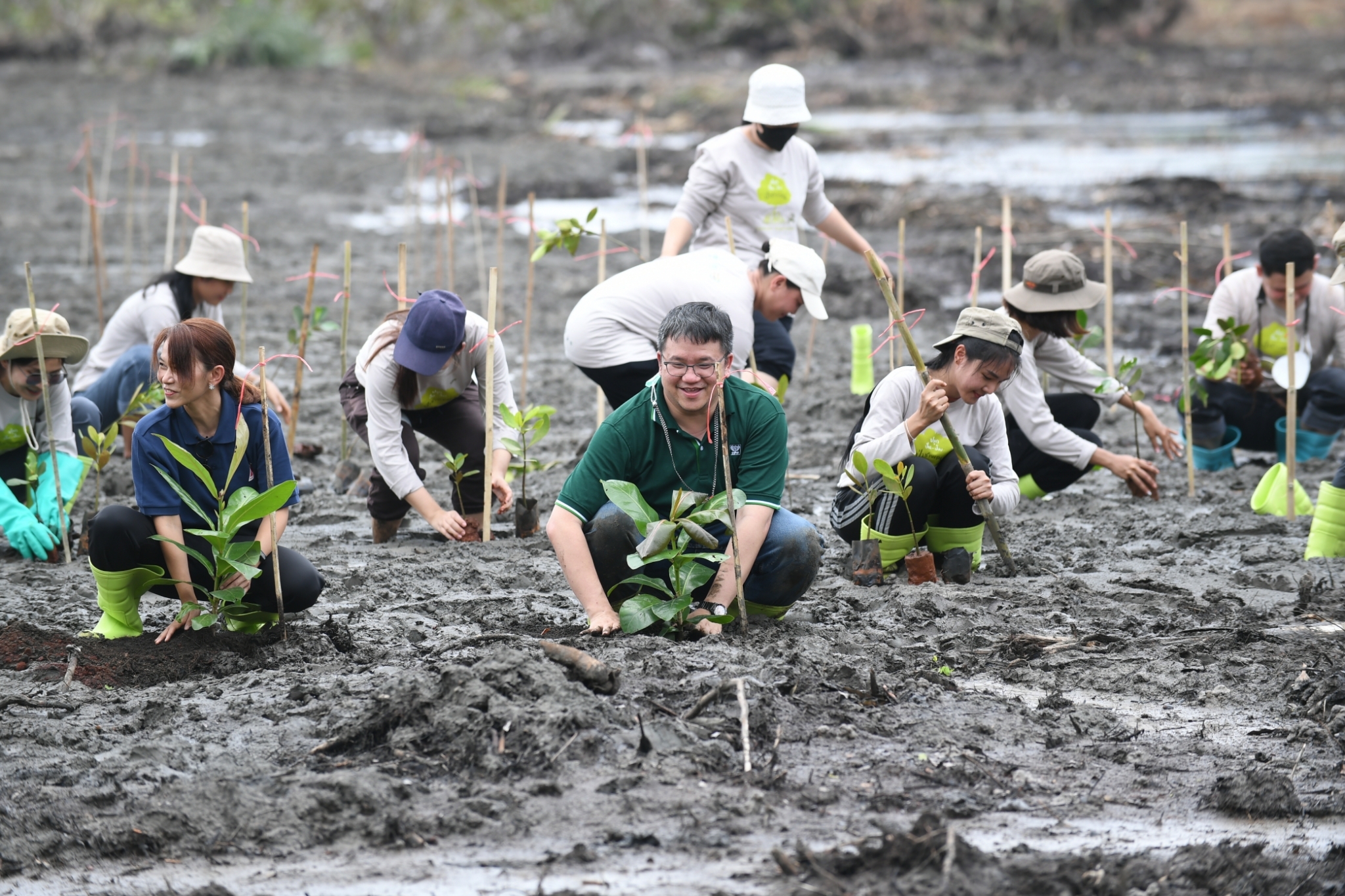 CP Foods Pledges to Protect Biodiversity by Planting 5 million Trees across Its Operation Sites Worldwide