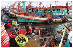 ประมงนำร่องศูนย์ควบคุมเรือ 1 เม.ย.58 เตือนชาวประมงติด VMS ก่อน กม.บังคับใช้ ประมงนำร่องศูนย์ควบคุมเรือ 1 เม.ย.58 เตือนชาวประมงติด VMS ก่อน กม.บังคับใช้