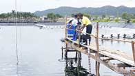 Shrimp farmers in Trang province applies CPF’s “3 Clean” principles for sustainable success Shrimp farmers in Trang province applies CPF’s “3 Clean” principles for sustainable success