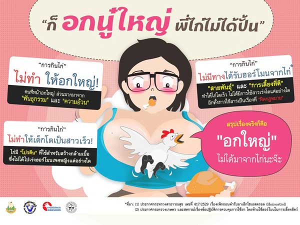 จริงไหม? …กินไก่แล้วทำให้ลูกเป็นสาวเร็ว หรือทำให้หน้าอกใหญ่จริงหรือ?