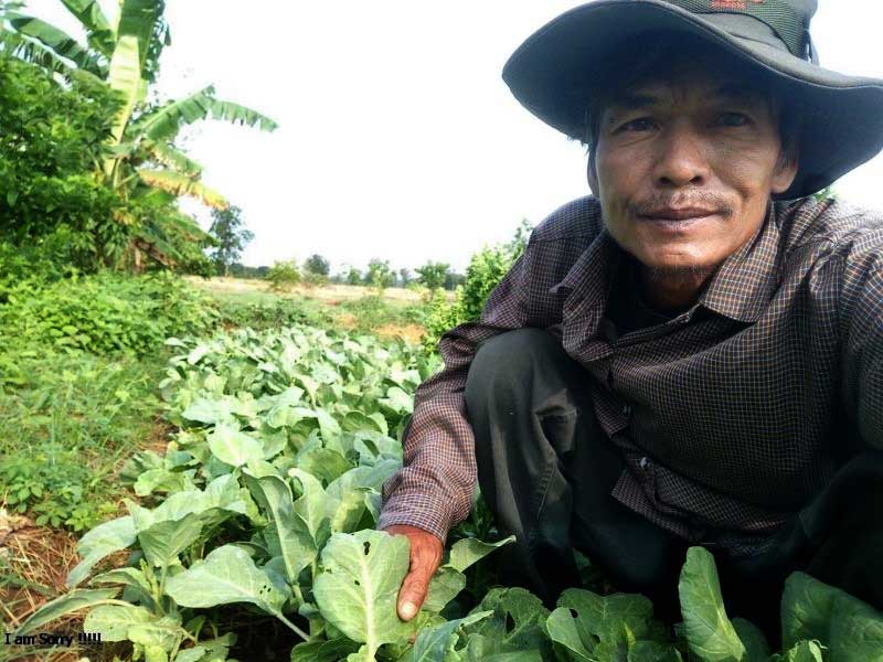 CPF supports communities around Phraya Doen Thong Mountain to produce chemical-free vegetables
