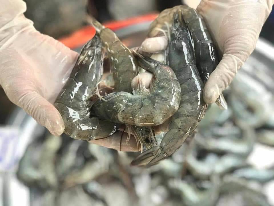 เนื้อสัตว์-อาหารทะเลไทย สด สะอาด ปลอดภัย ได้มาตรฐาน GMP-GAP