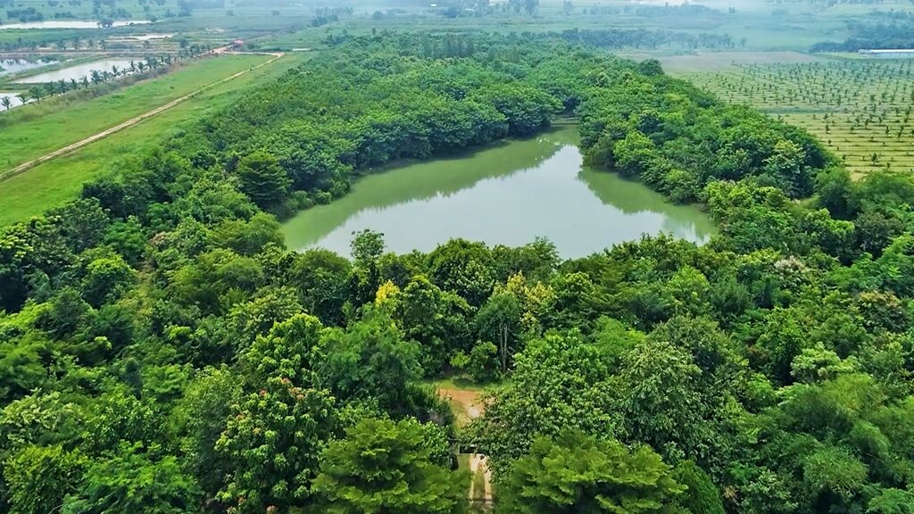 CPF implements environmental efforts throughout the supply chain under “Kitchen of the World” vision CPF implements environmental efforts throughout the supply chain under “Kitchen of the World” vision