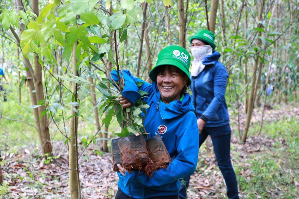 CP Vietnam joins forces community restoring forest. CP Vietnam joins forces community restoring forest.