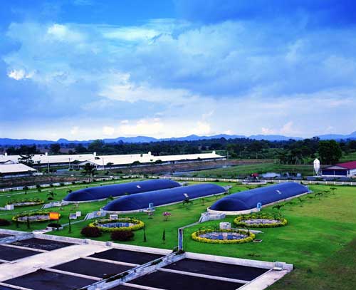 CPF aims to become “low-carbon organization”, set to cut GHG emissions by 25% in 2025 CPF aims to become “low-carbon organization”, set to cut GHG emissions by 25% in 2025