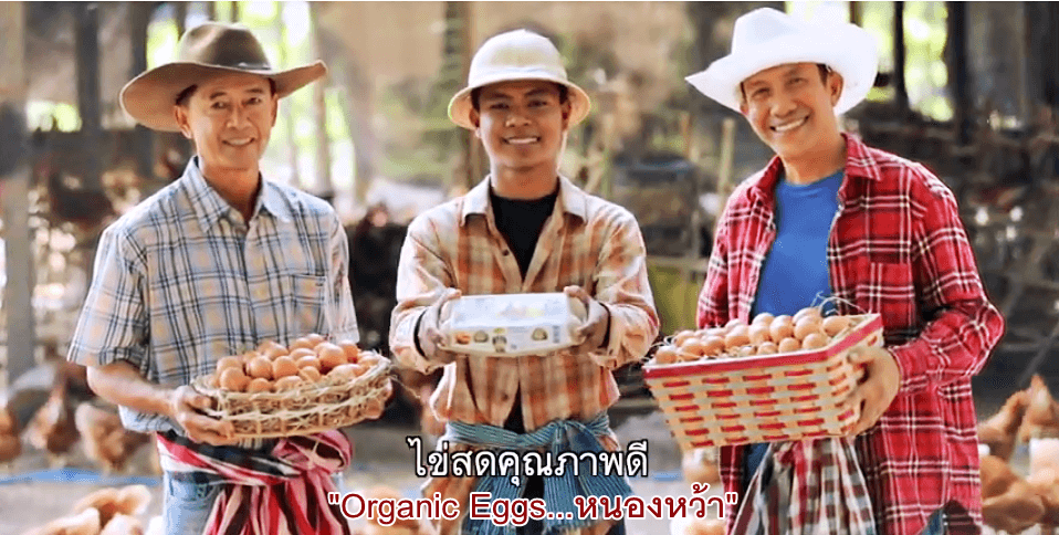 ซีพีเอฟ ต่อยอดความสำเร็จหมู่บ้านเกษตรกรรมหนองหว้า ดันผลิต "Organic Eggs หนองหว้า" ไข่ไก่สดจากหัวใจเกษตรกร ซีพีเอฟ ต่อยอดความสำเร็จหมู่บ้านเกษตรกรรมหนองหว้า ดันผลิต "Organic Eggs หนองหว้า" ไข่ไก่สดจากหัวใจเกษตรกร