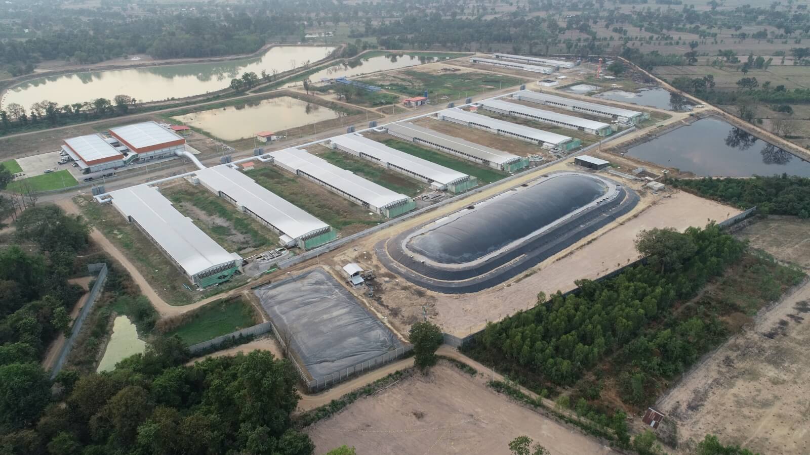 CP Foods pursues sustainability through food security and circular economy CP Foods pursues sustainability through food security and circular economy