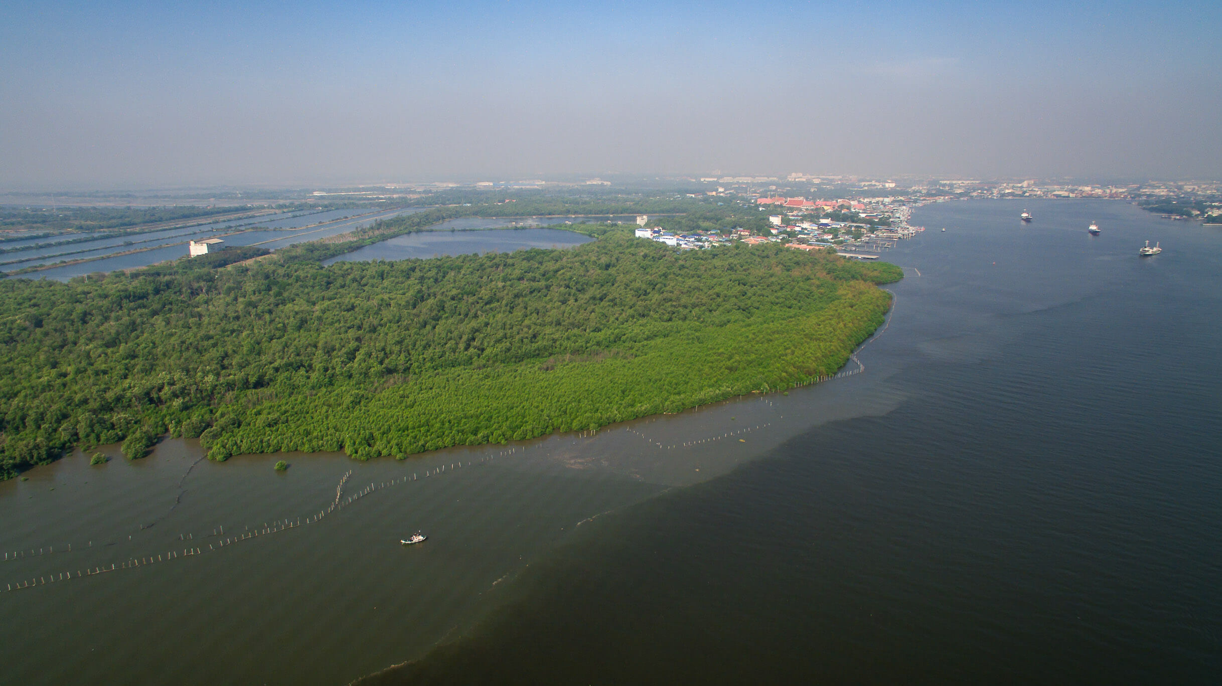 CP Foods moves towards low-carbon organization, help driving the "Decade of Ecosystem Restoration" CP Foods moves towards low-carbon organization, help driving the "Decade of Ecosystem Restoration"