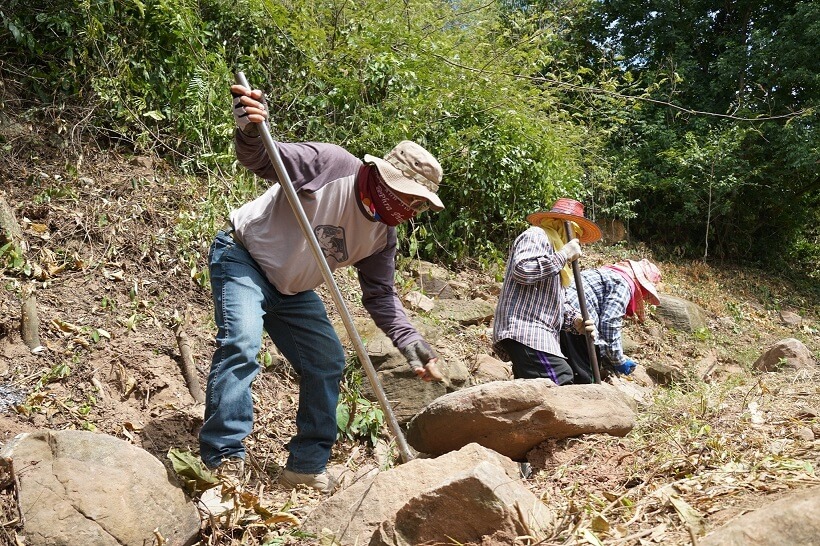 Forest Department grants an honorary plaque to CP Foods’ reforestation project Forest Department grants an honorary plaque to CP Foods’ reforestation project
