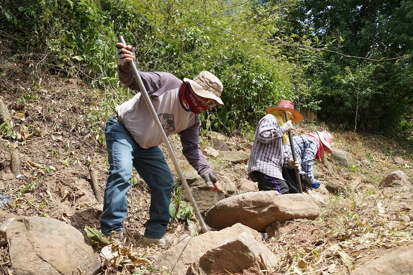 Forest Department grants an honorary plaque to CP Foods’ reforestation project