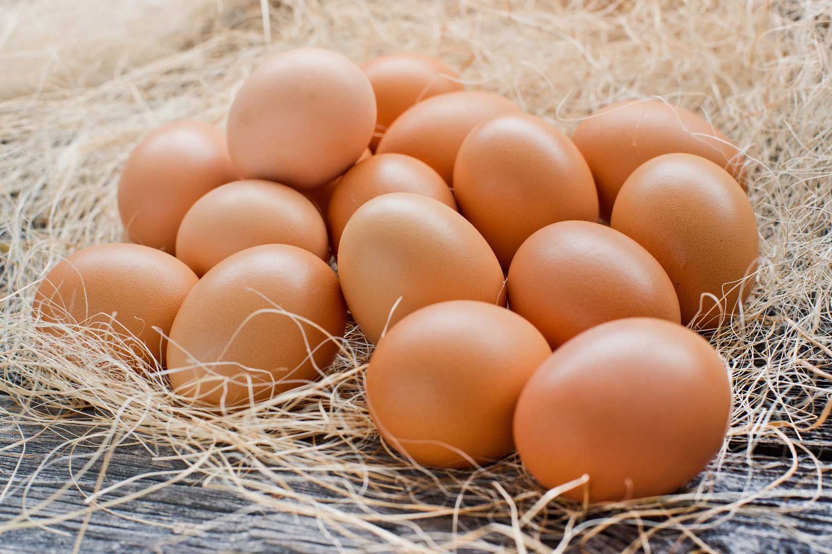 เส้นทางราคาไข่ไก่... ต้องเข้าใจและปล่อยกลไกทำงาน - Charoen Pokphand Foods PCL. All rights reserved.