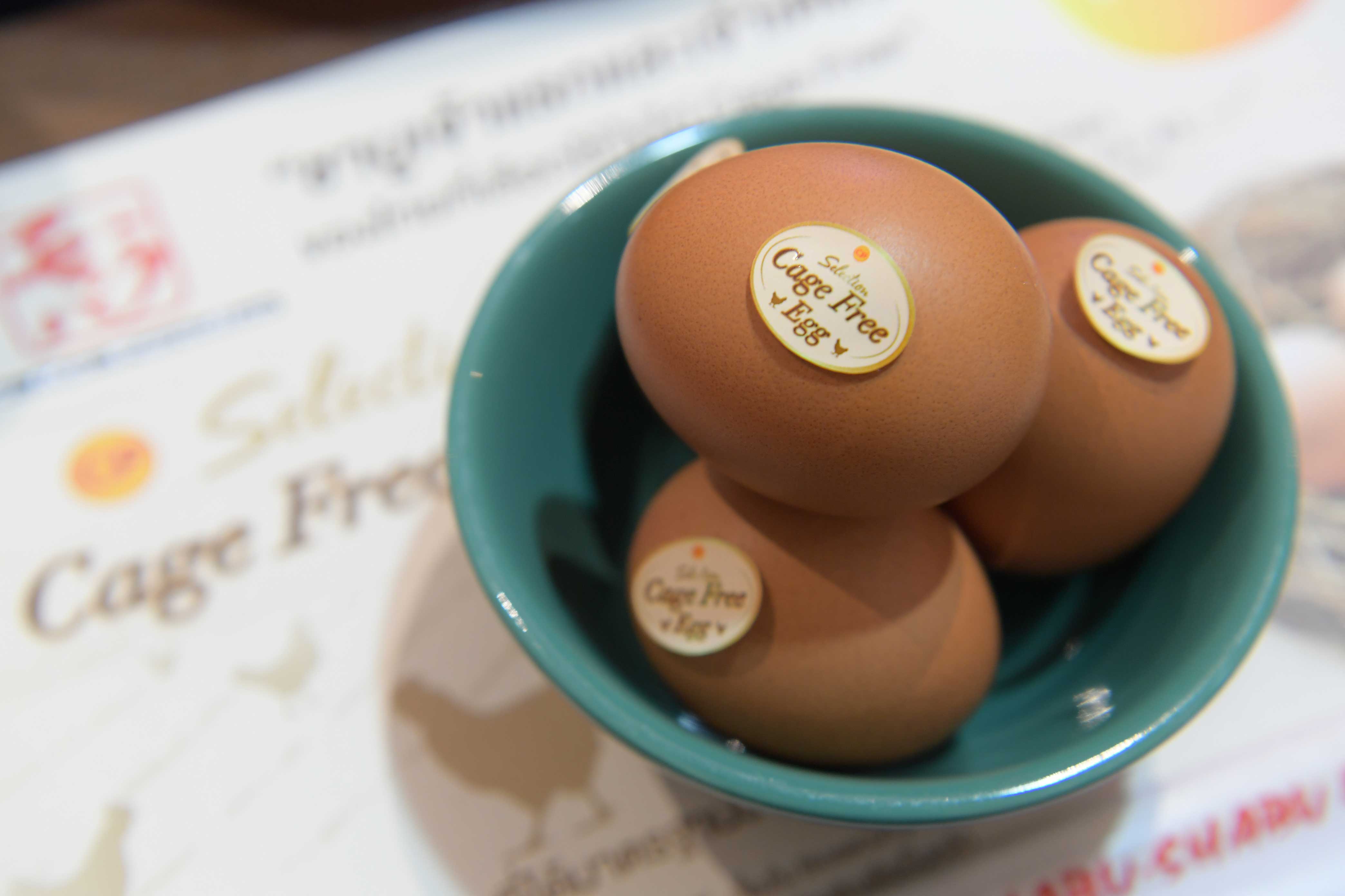 “Mo-Mo-Paradise" now serves CP Selection Cage Free Egg