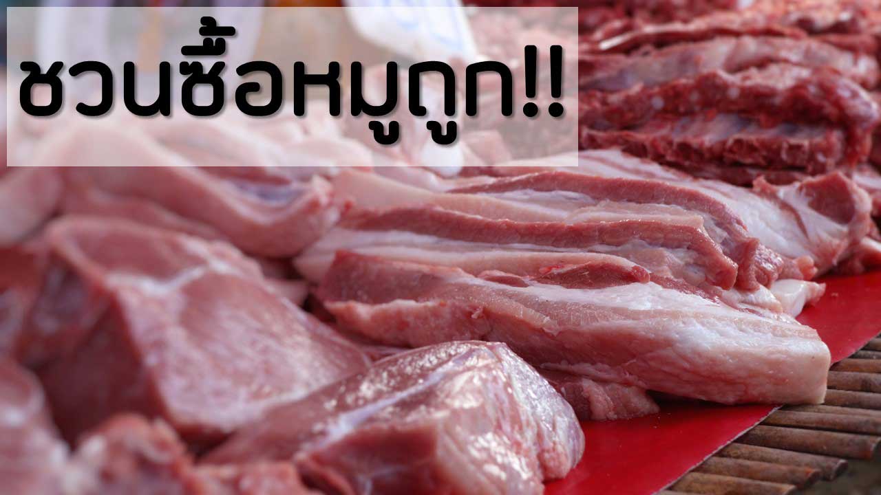 สมาคมผู้เลี้ยงสุกรแห่งชาติชวนซื้อหมูถูกทั่วไทย-ช่วยลดค่าครองชีพประชาชน สมาคมผู้เลี้ยงสุกรแห่งชาติชวนซื้อหมูถูกทั่วไทย-ช่วยลดค่าครองชีพประชาชน