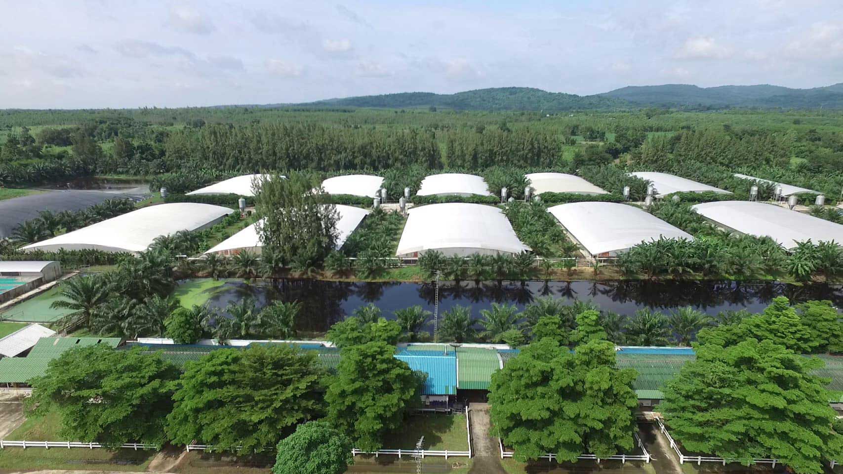CPF implements stringent measures to keep farms safe amid COVID-19 outbreak CPF implements stringent measures to keep farms safe amid COVID-19 outbreak