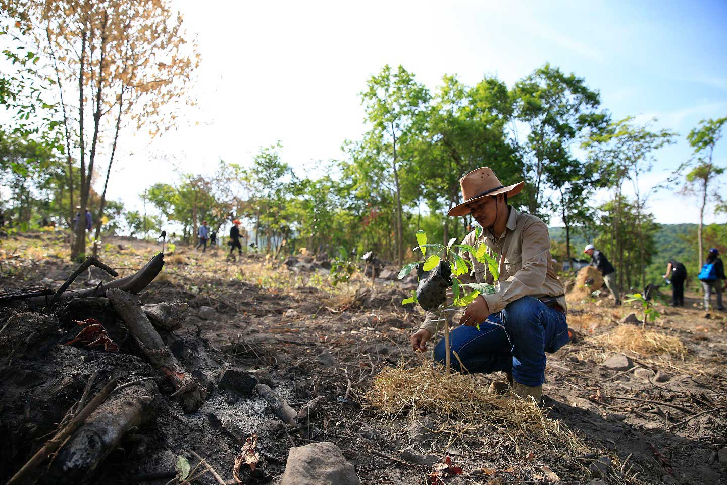 The Royal Forest Department joins forced with CPF to reforest Khao Phraya Doen Thong