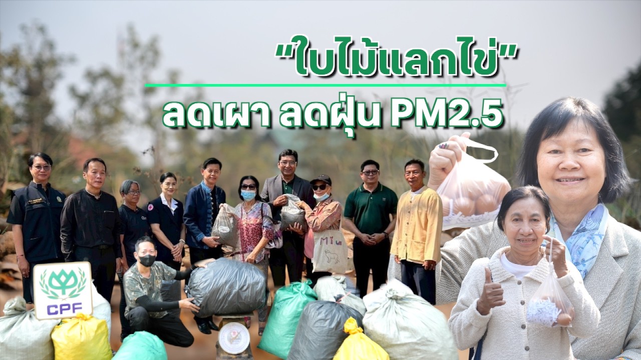 เรื่องดีดี CPF EP.376 ตอน ใบไม้แลกไข่ ไอเดียลดเผา ลดฝุ่น PM2.5