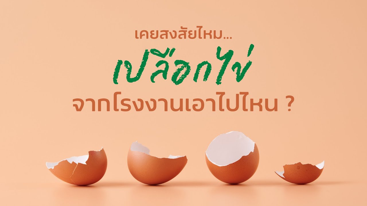เรื่องดีดี CPF EP.367 เปลือกไข่จากโรงงาน…เอาไปไหน?